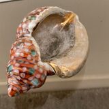 Empty pocket Vallauris vintage ceramic shell signed