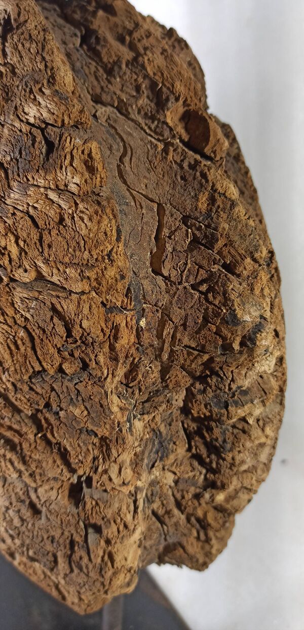 Ancienne roue de poulie en bois sur pied