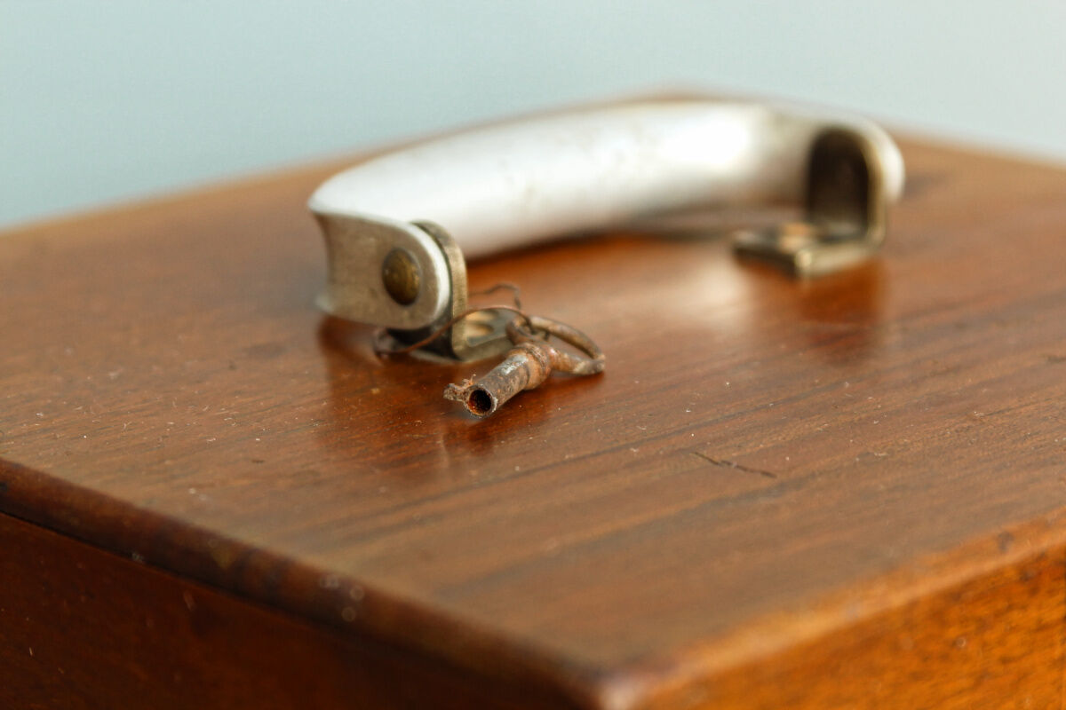 Mahogany and brass box, early twentieth