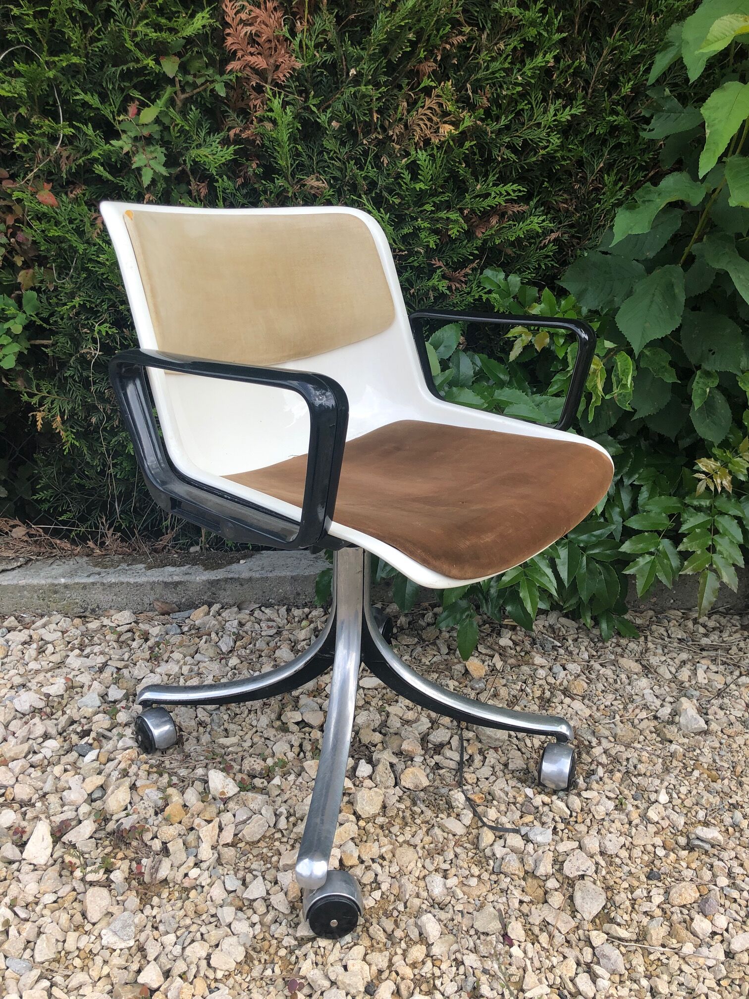 Pair of office chairs Modus Osvaldo Borsani edited by Tecno