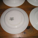 Lot of 8 plates flat and hollow earthenware to décor floral 60s/70s Digoin Sarreguemines