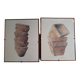 1 lot de 2 illustrations très originales signées Baudry
