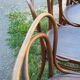 10 chaises Jacob & Joseph Kohn en bois courbé 1900