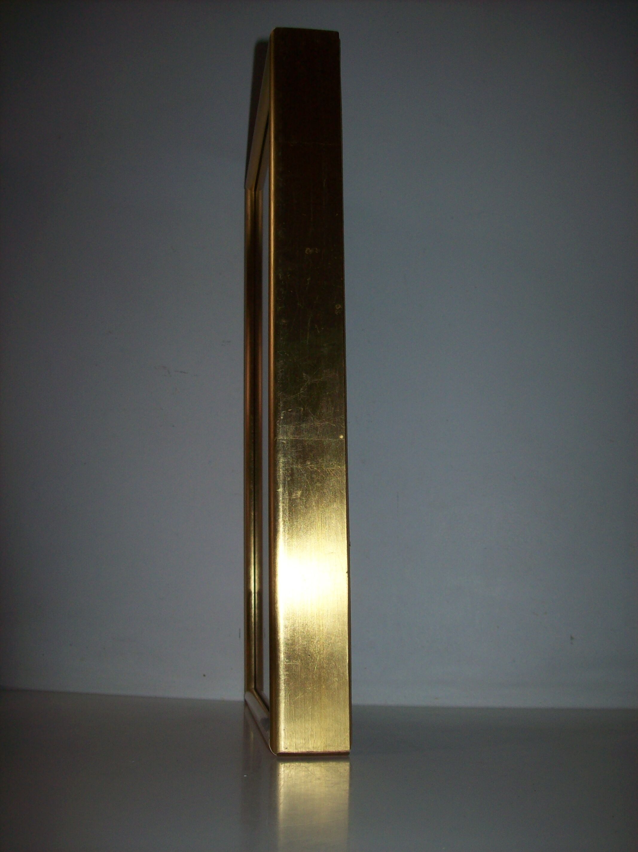 Butterfly stuffed under frame