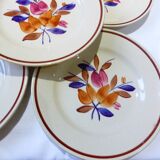 5 assiettes plates