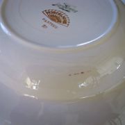 Assiettes creuses porcelaine opaque digoin sarreguemines modèle pasteur