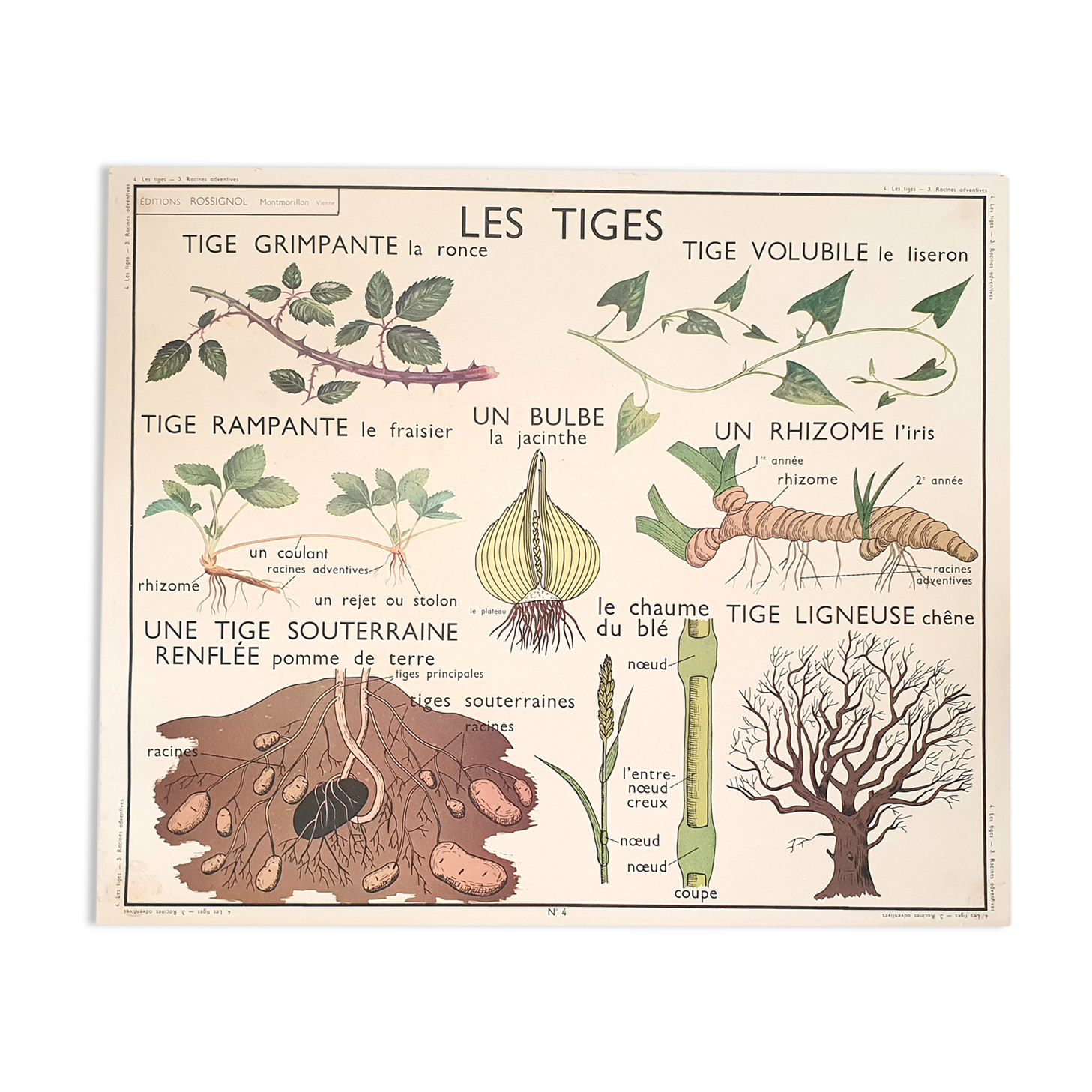 Rossignol school poster