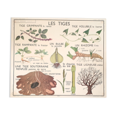 Rossignol school poster