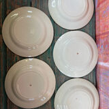 5 vintage dessert plates with flowers