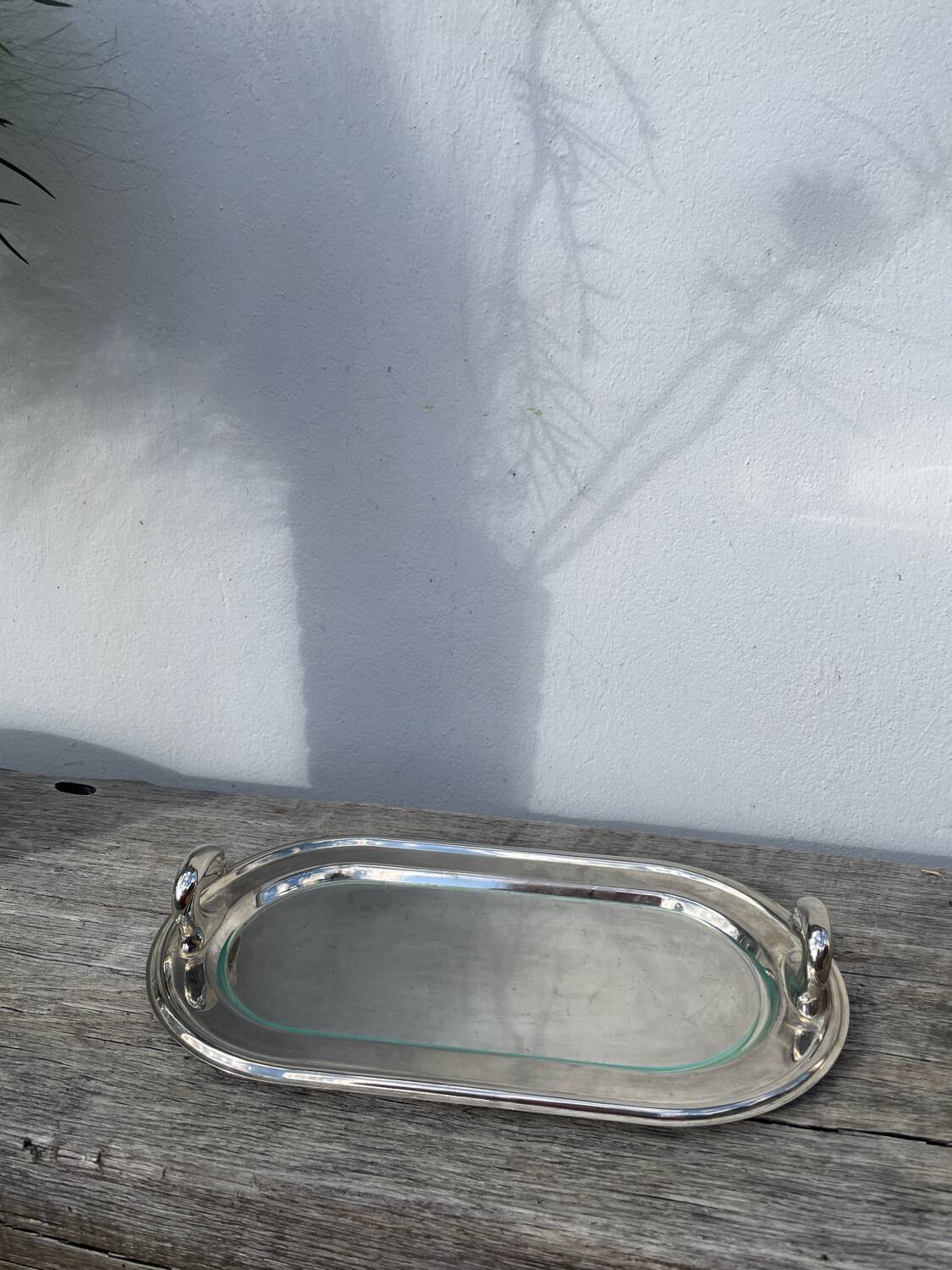 Silver-plated duck foie gras dish