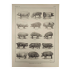 Original engraving from 1922 - Pig (2) - Old Pig board by AG Richard