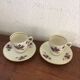 Two porcelain cups with violets