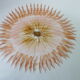 Set of 6 Flat Plates Faïence de St Amand 1713 Vintage 70s