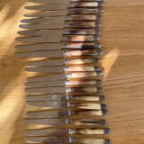 Coffret de 24 couteaux en corne