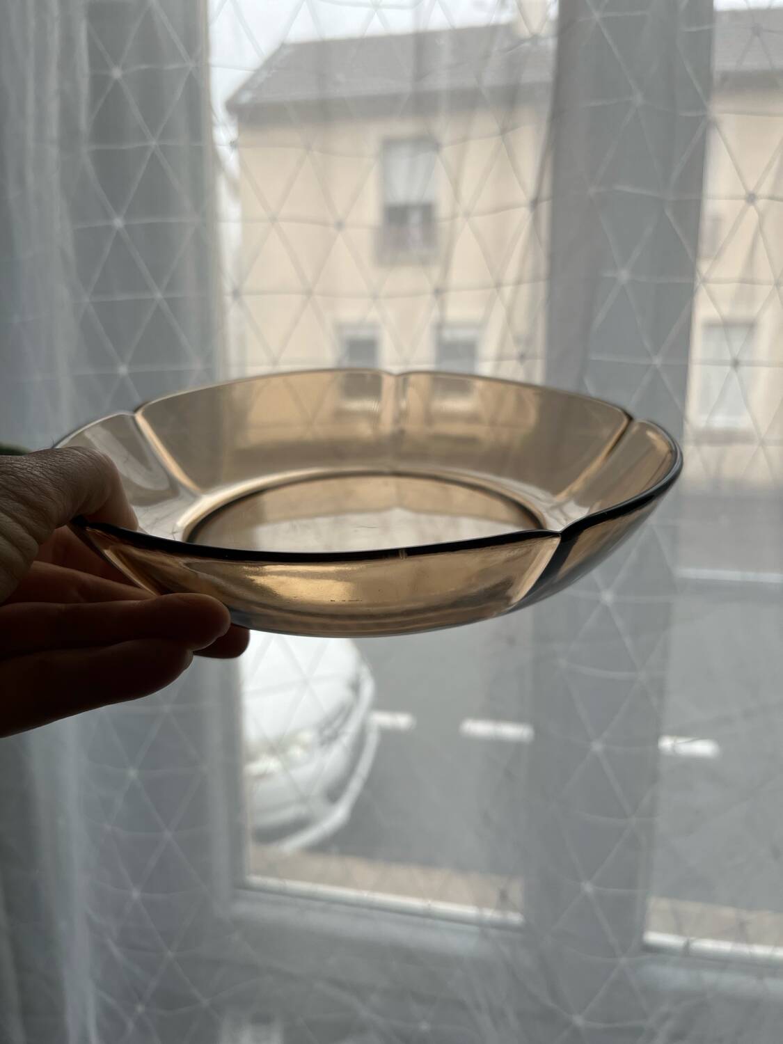 Duralex smoked glass service – petal model
