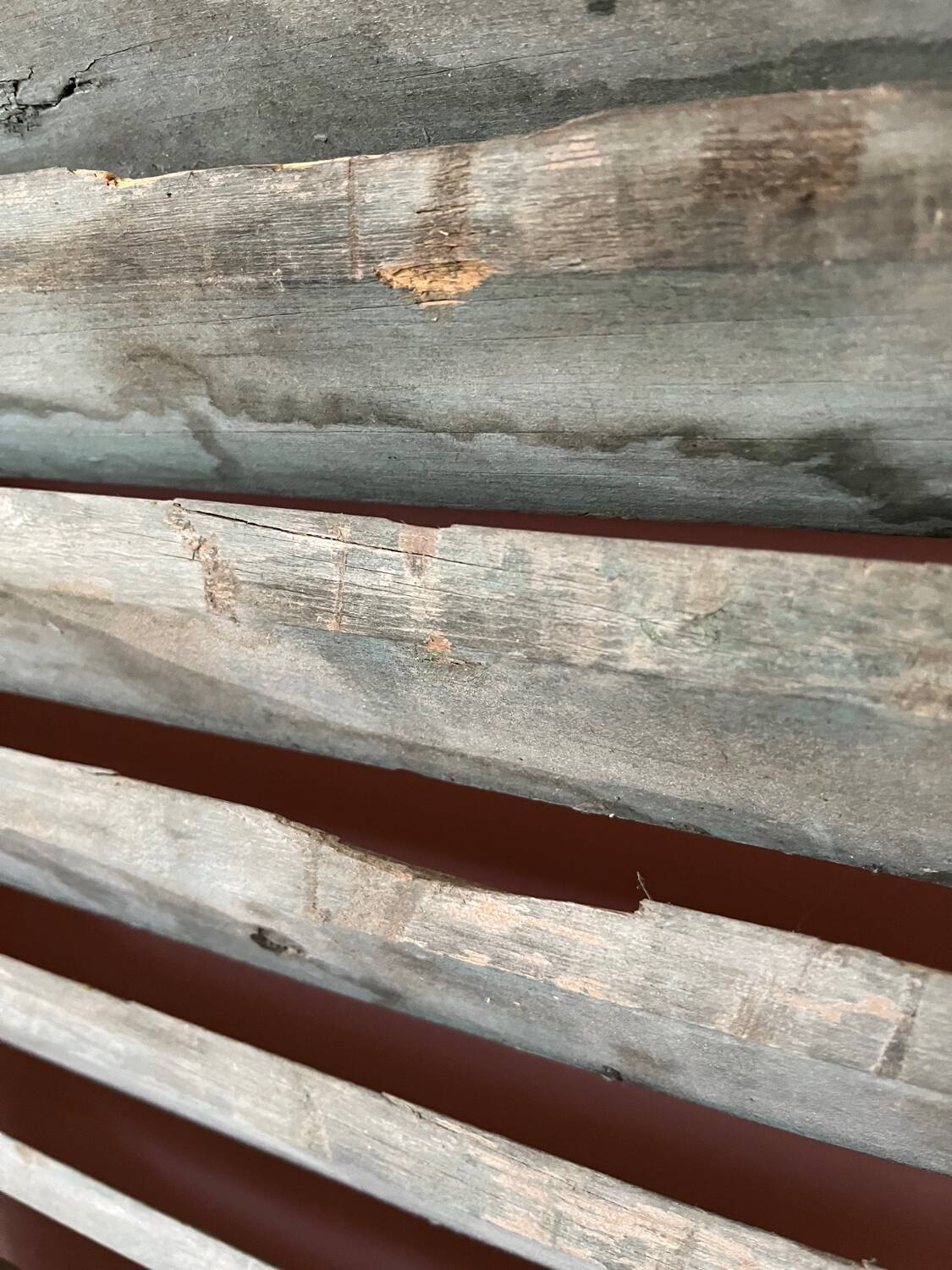 Old shutter blinds
