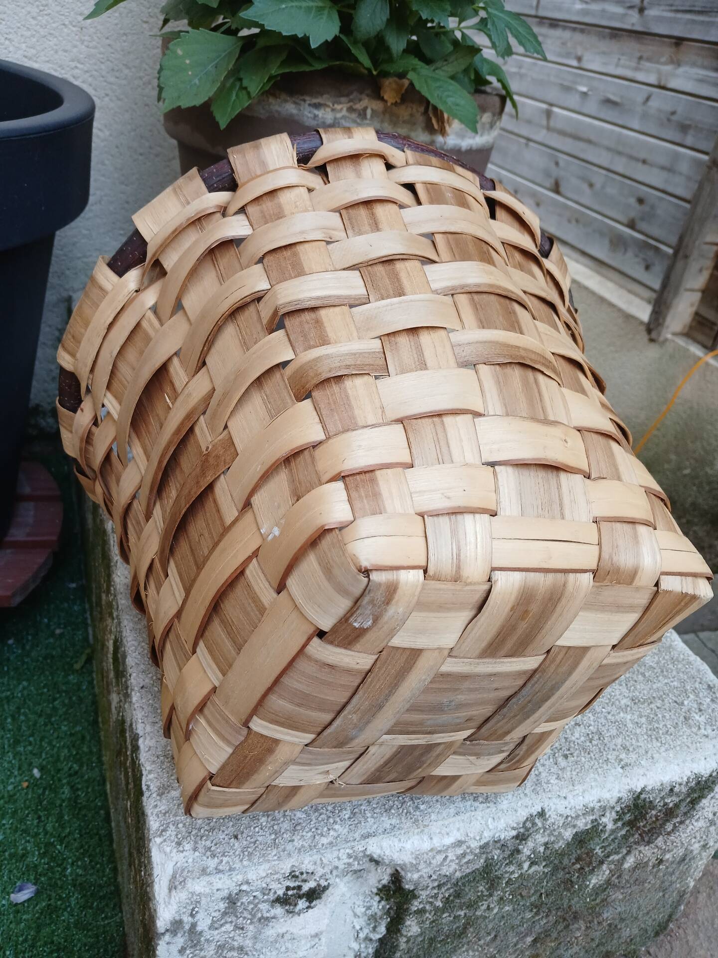 Panier ancien à champignons