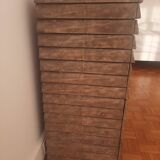 Chest of drawers in genuine shagreen by R&Y Augousti Paris