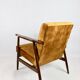Vintage easy chair in brown chameleon, 1970s