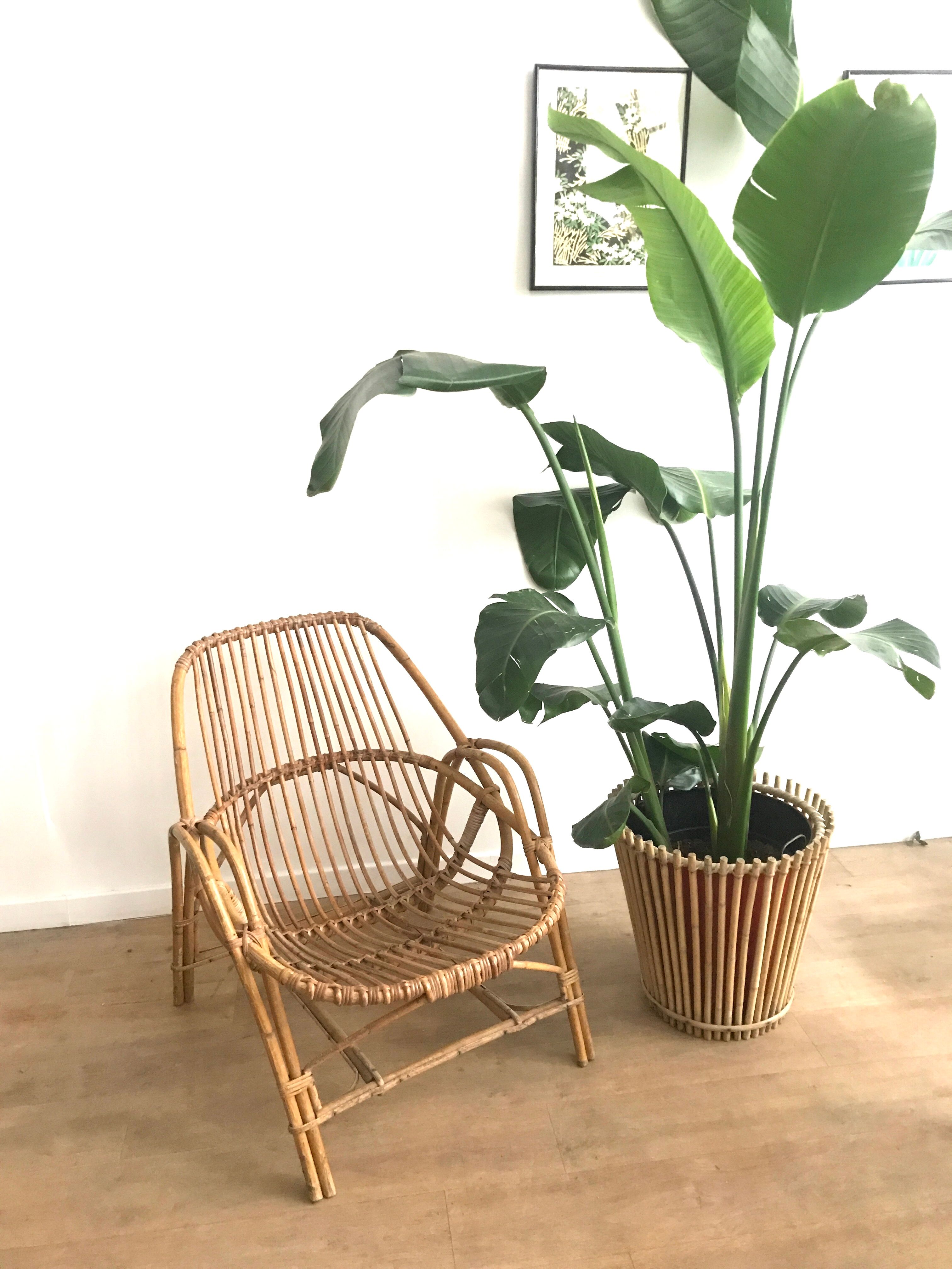 Rattan armchair