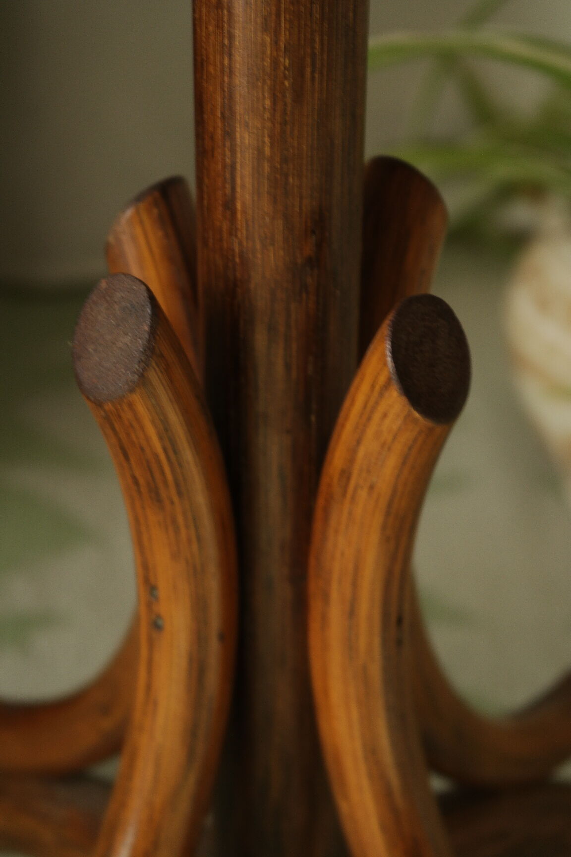 Sole-on-foot door in vintage braided reeded curved wood