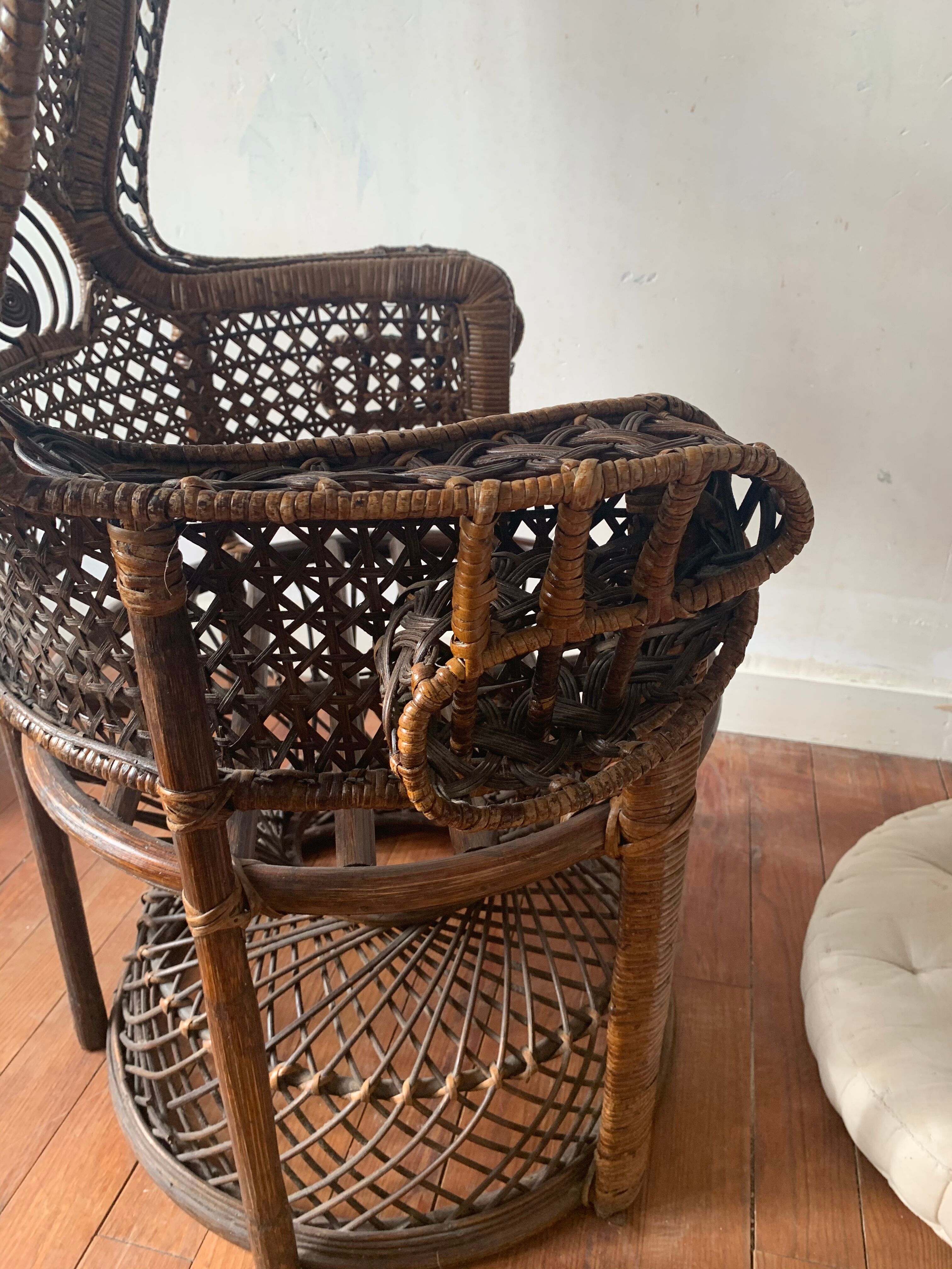 Vintage Emmanuelle chair