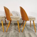 Dining Chairs by Antonin Suman, Set of 4