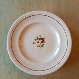 Assiettes de Longwy 10 pièces