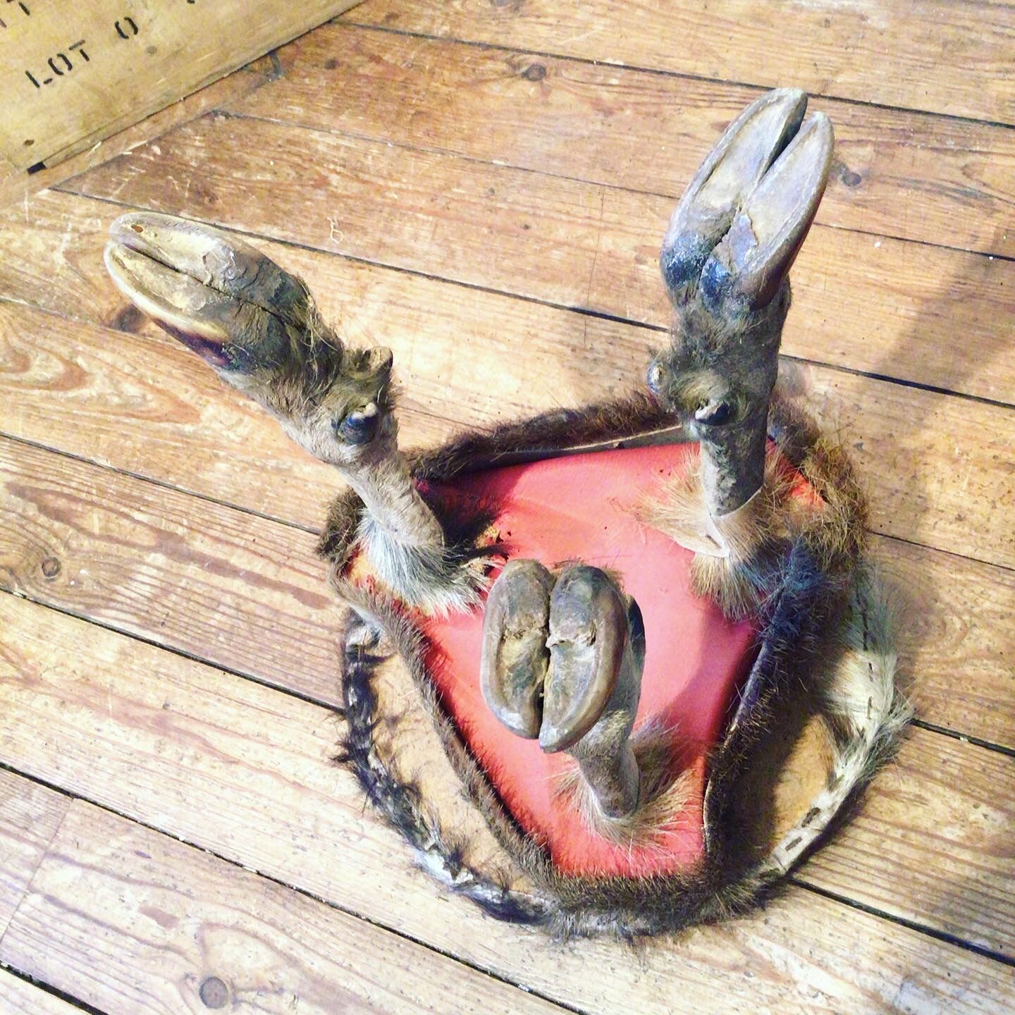 Wild deer skin tripod