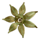Wall lamp, vintage ceiling lamp leaves
