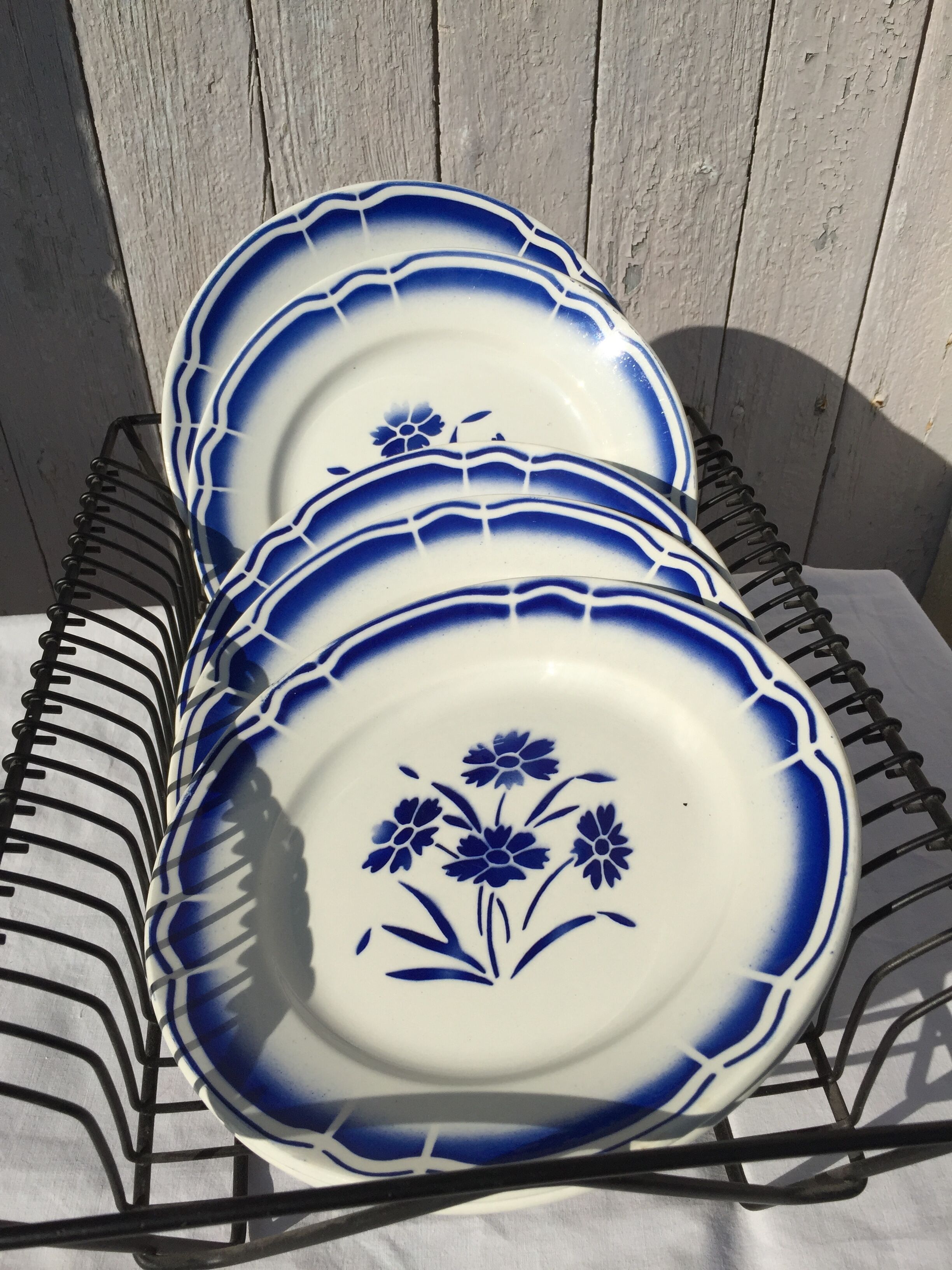 6 old plates on the ground "blue flowers"