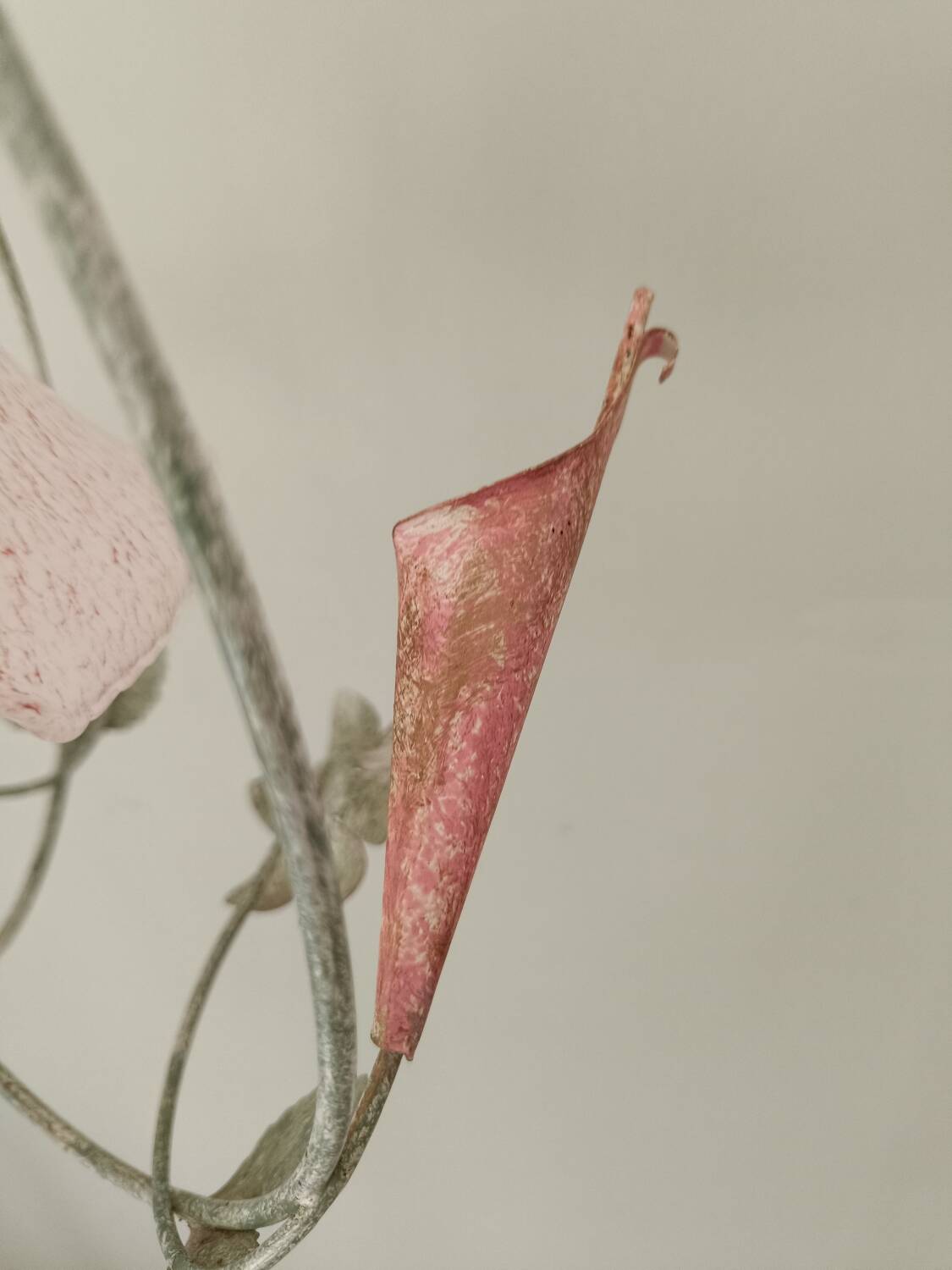 Lustre fer forgé et tulipe verre rose dépoli