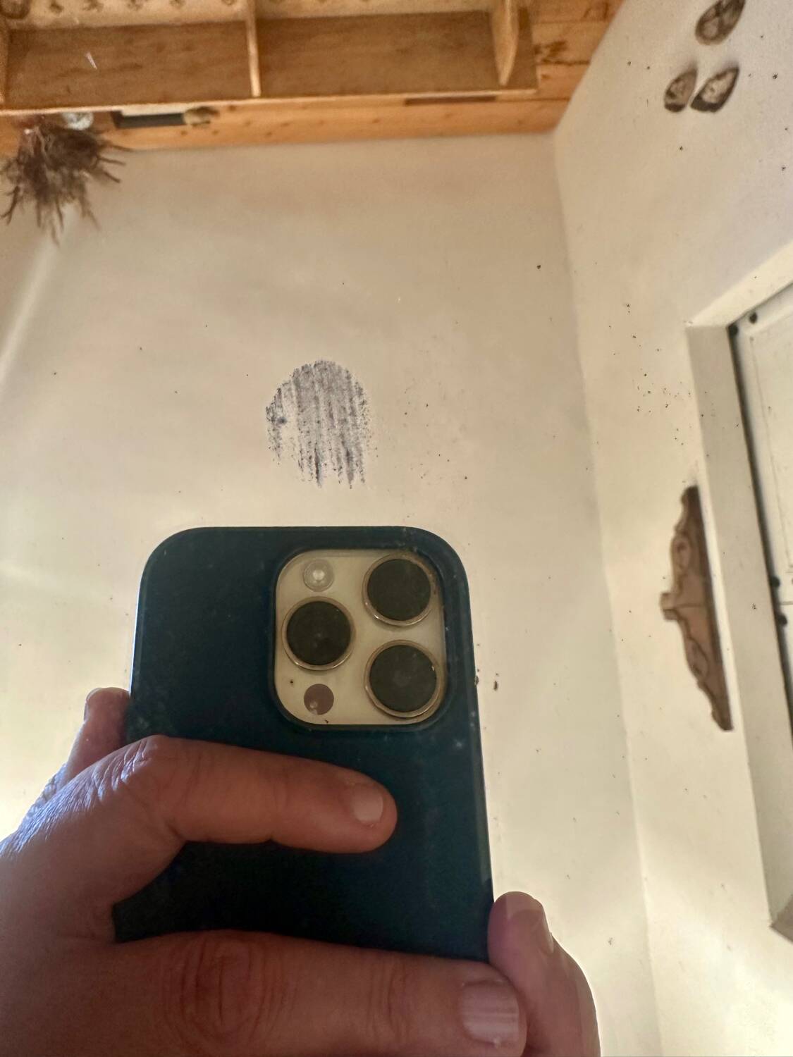 Large 19th century gilded mirror