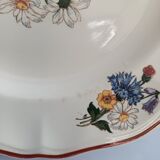 Sarreguemine plates