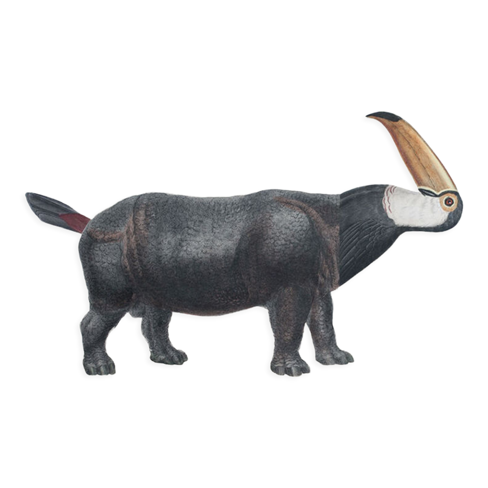 Lithograph engraving animal chimera - touceros