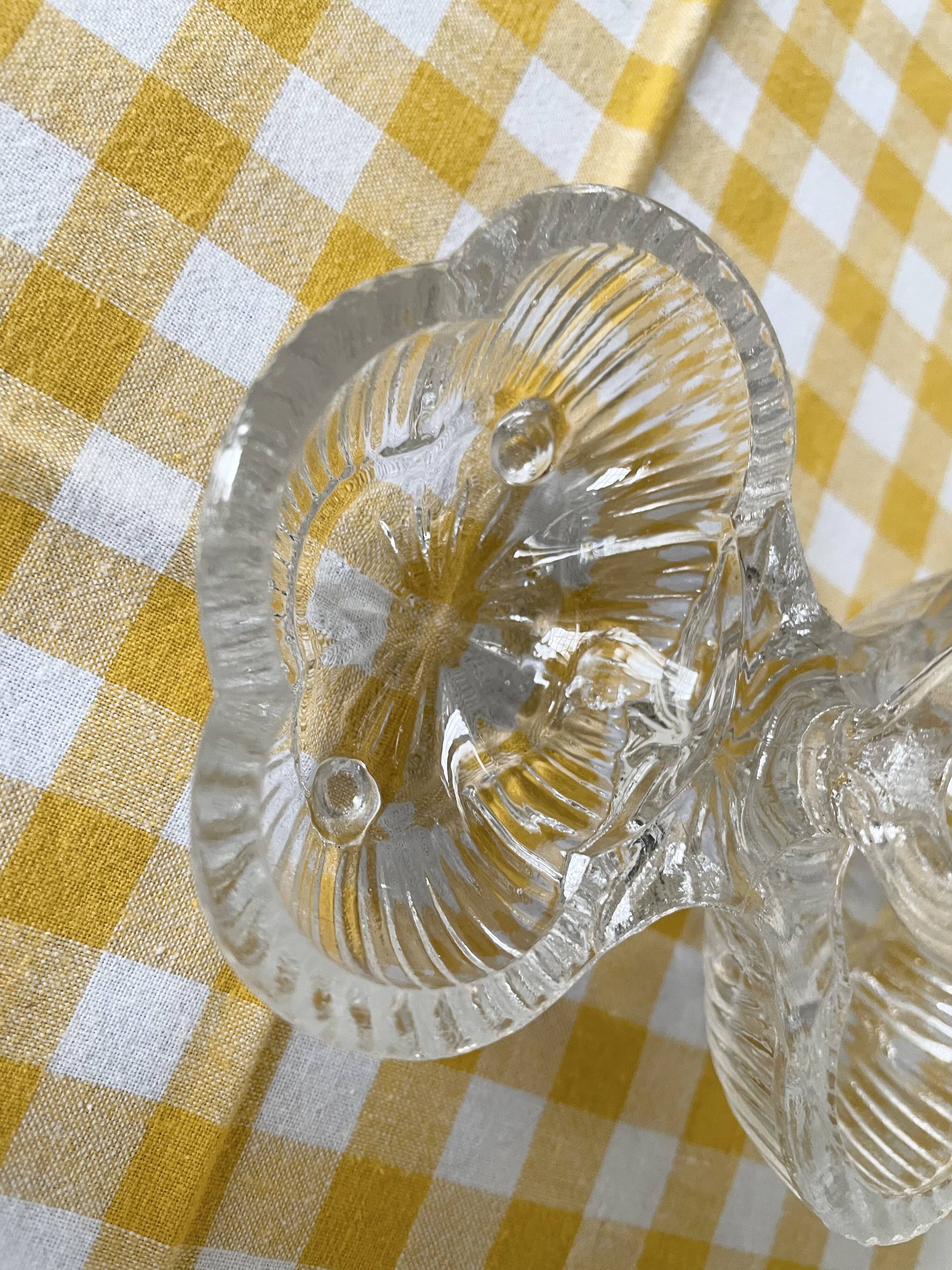 Double transparent molded glass salt shaker