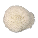 Old white ball coral