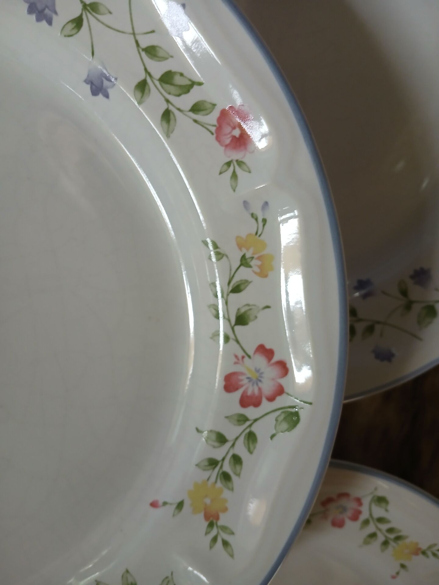9 dinner plates English Garden