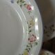 9 dinner plates English Garden