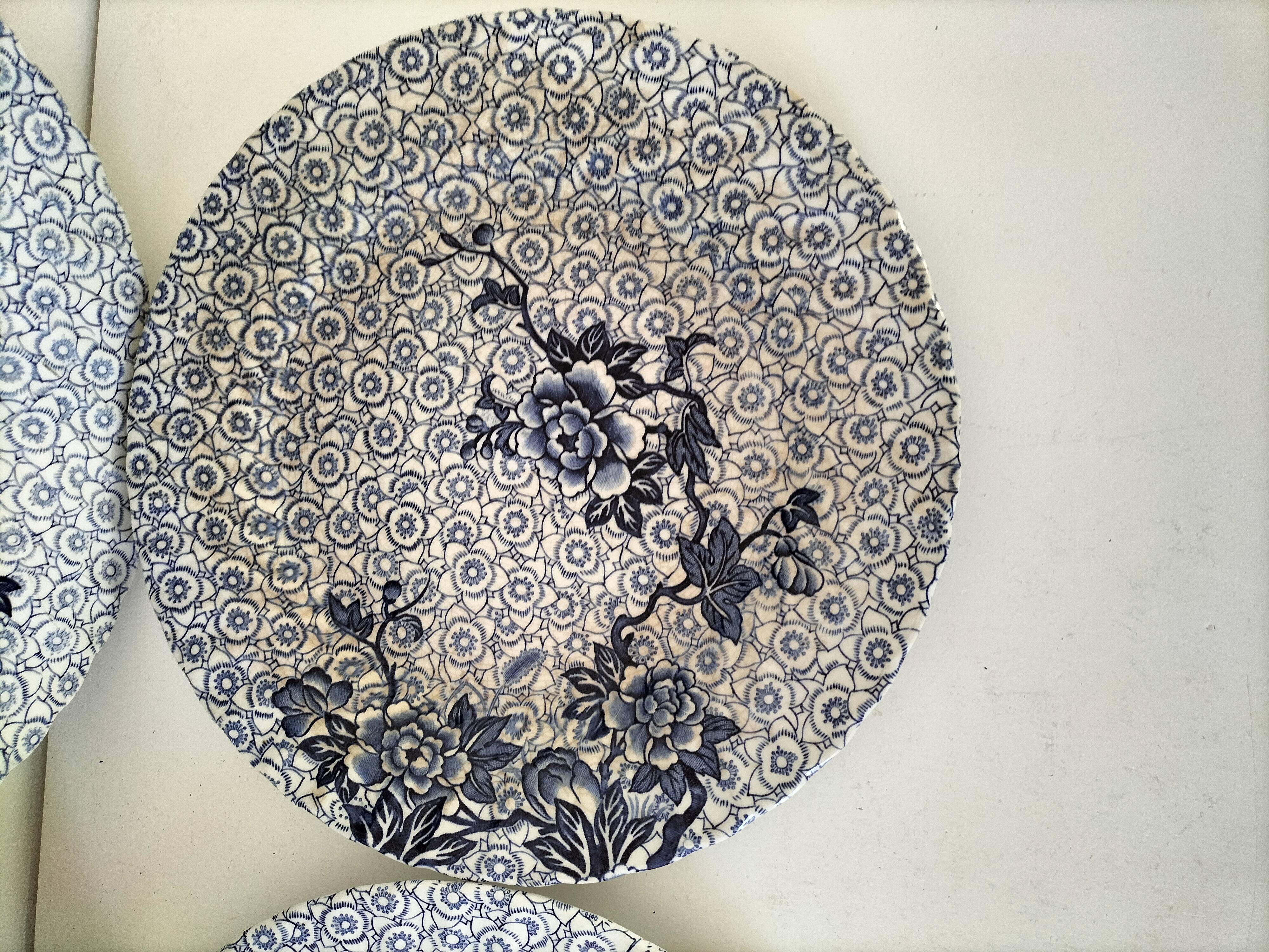 9 Johnson Brothers plates in the Lotus pattern.