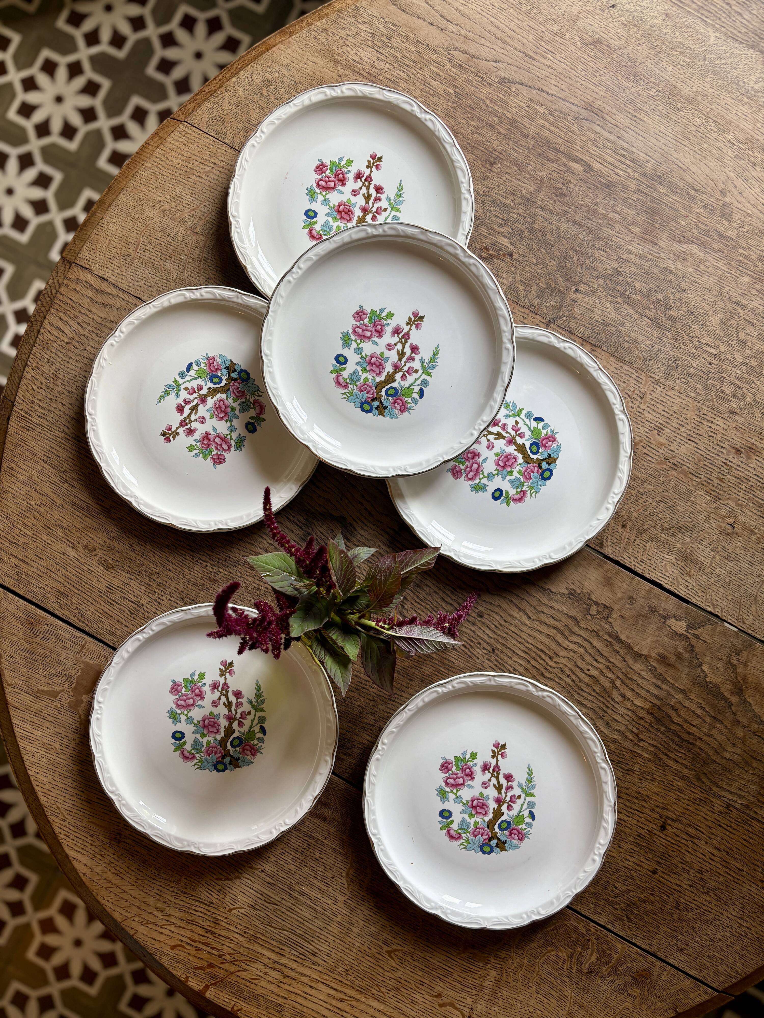 Set of 6 vintage deep plates, "Indian Tree" pattern by Digoin.