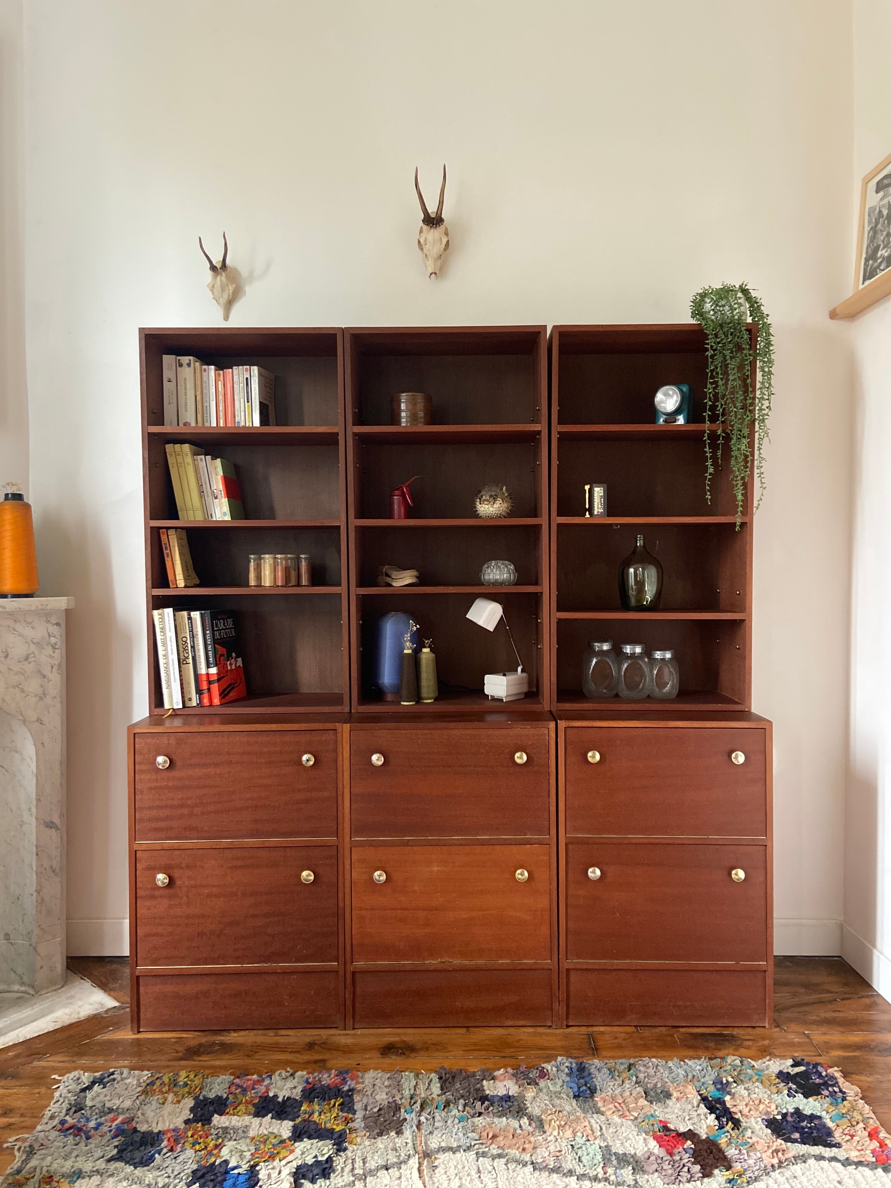 Libraries with valves 1960