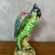 Ceramic parrot
