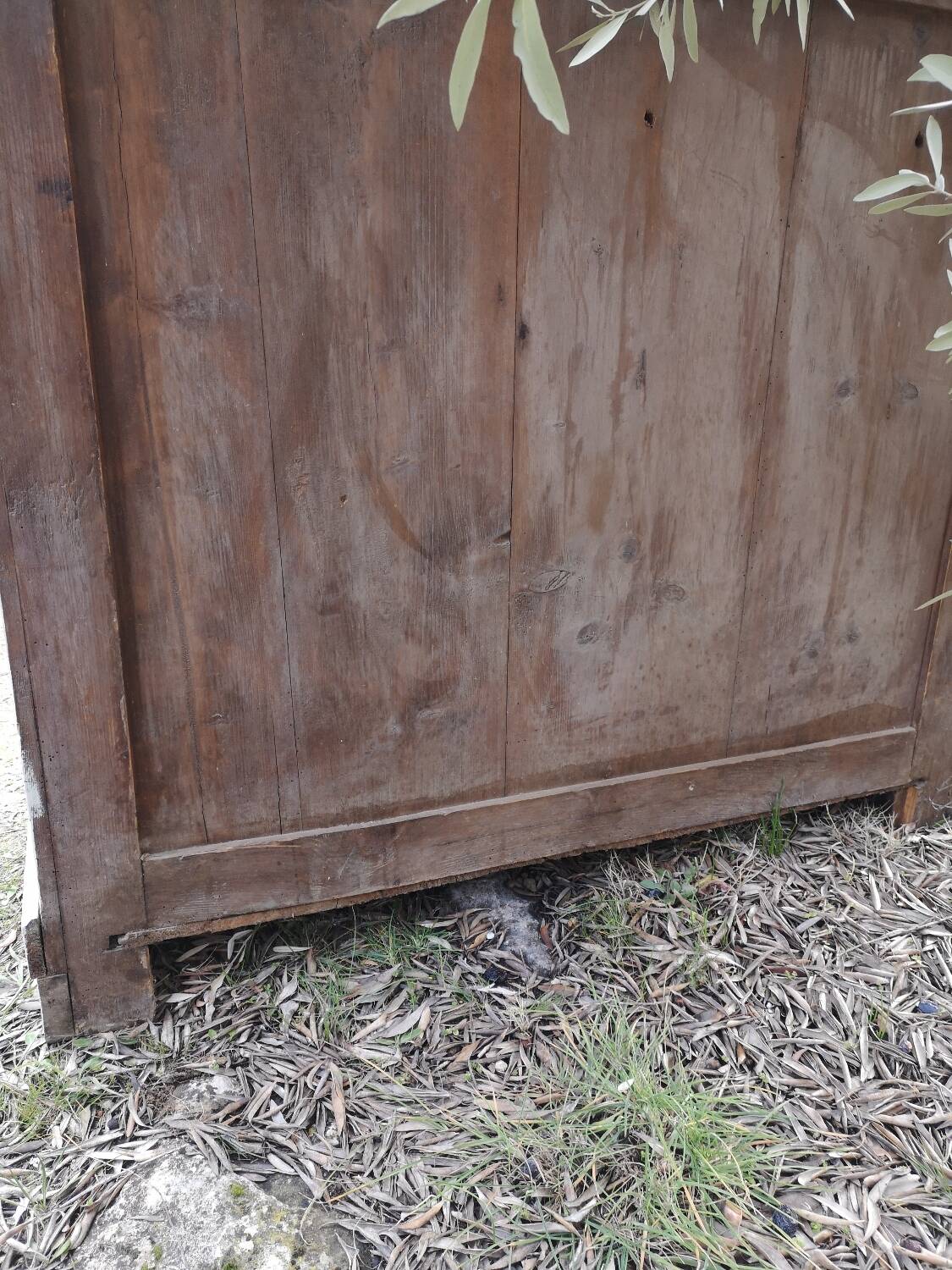 Oak chest of drawers