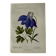 Naturalist Plate – 19th Century Botanical Engraving, Double-Sided