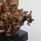 Organic Sculpture Brutalist Modernist Midcentury Gilded Bronze Casting