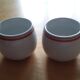 Pair of Auteuil China Cup