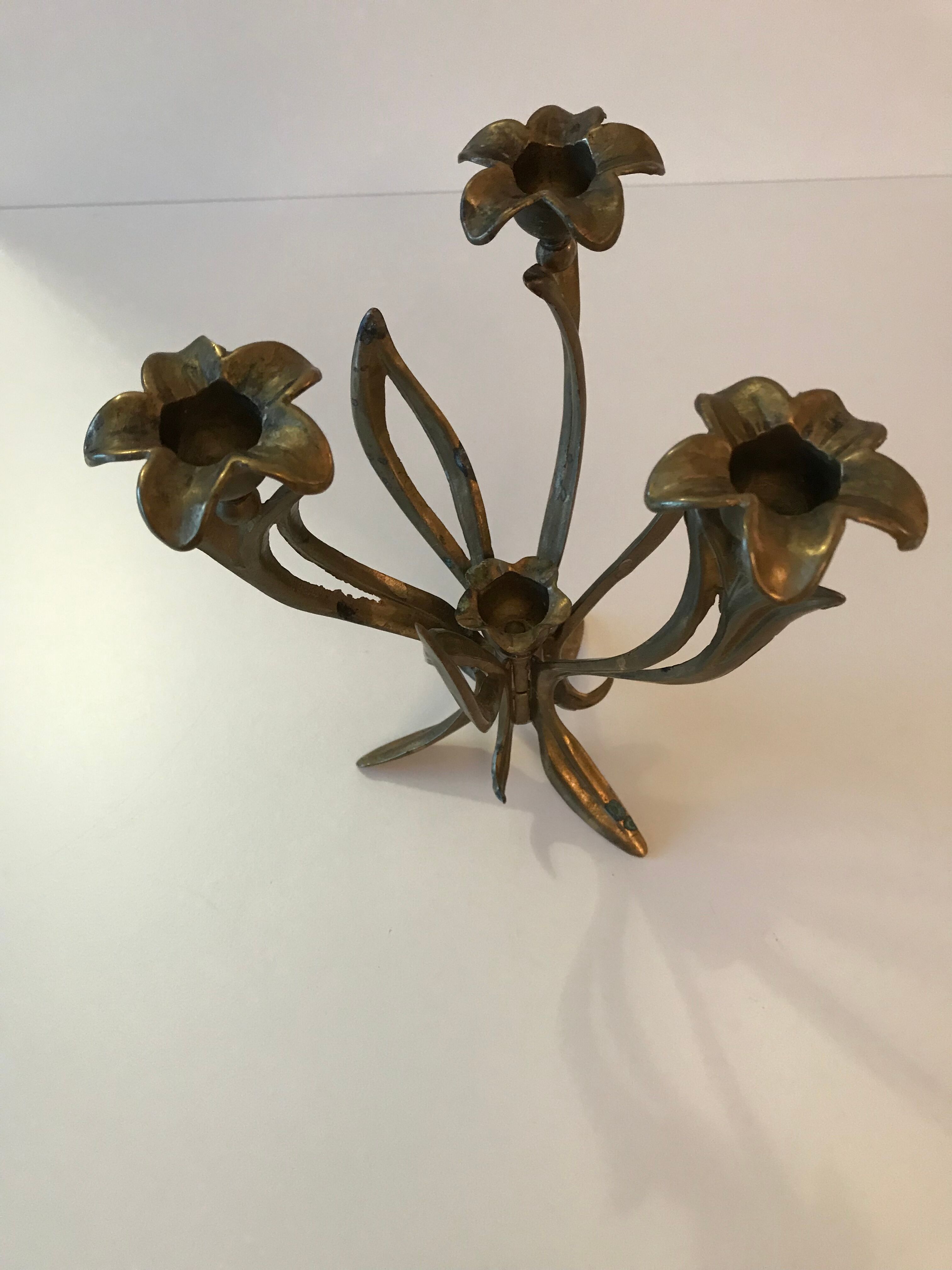 Candlestick lily flowers