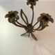 Candlestick lily flowers