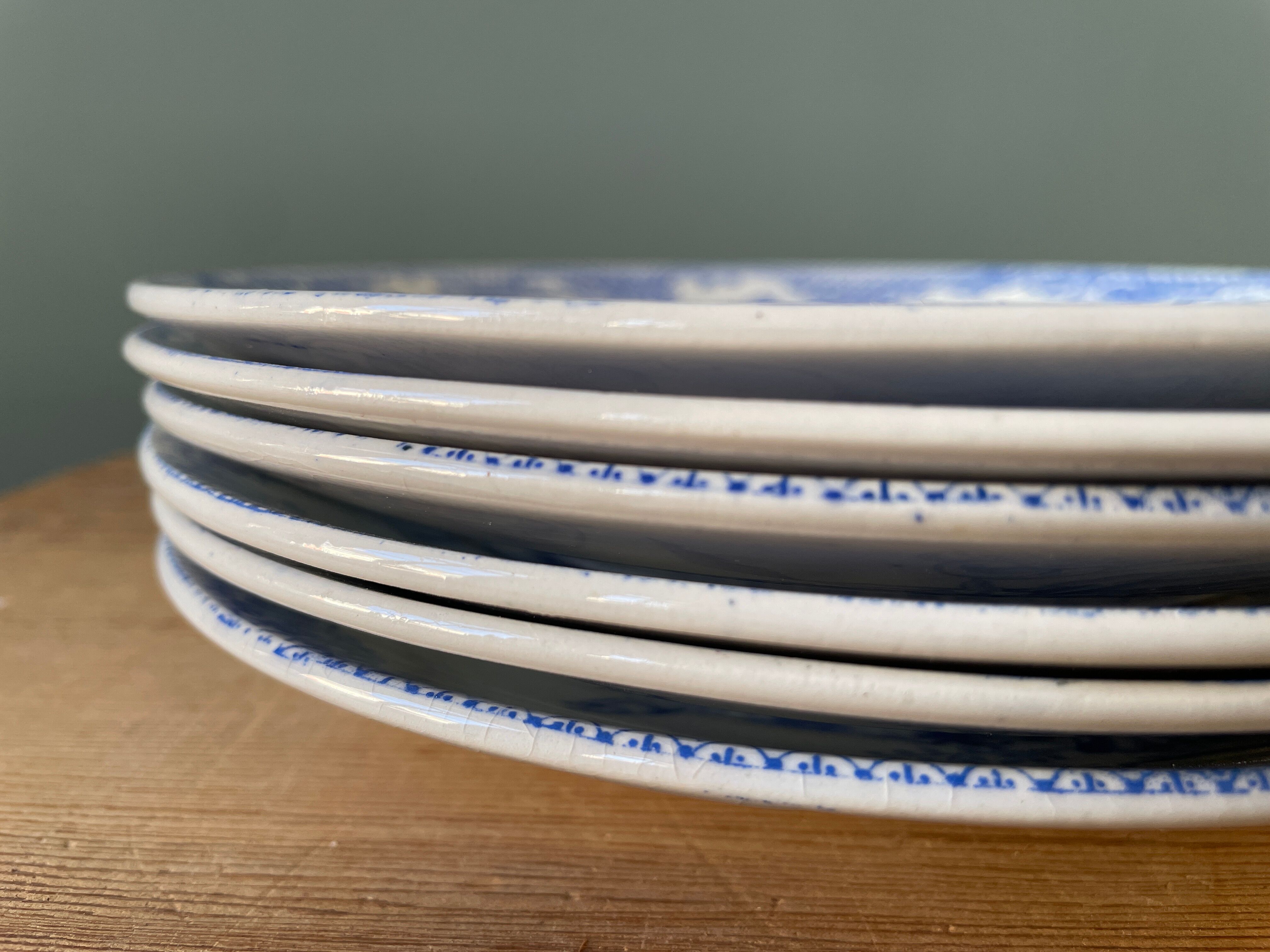 Series of 6 flat plates Iron Earth XIXth